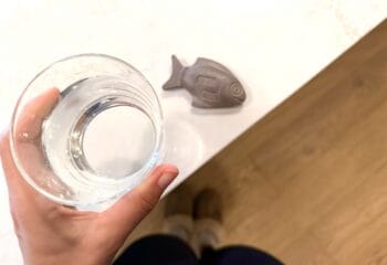 How I’m Naturally Increasing My Low Iron Levels (And Why I’m Using an Iron Fish)