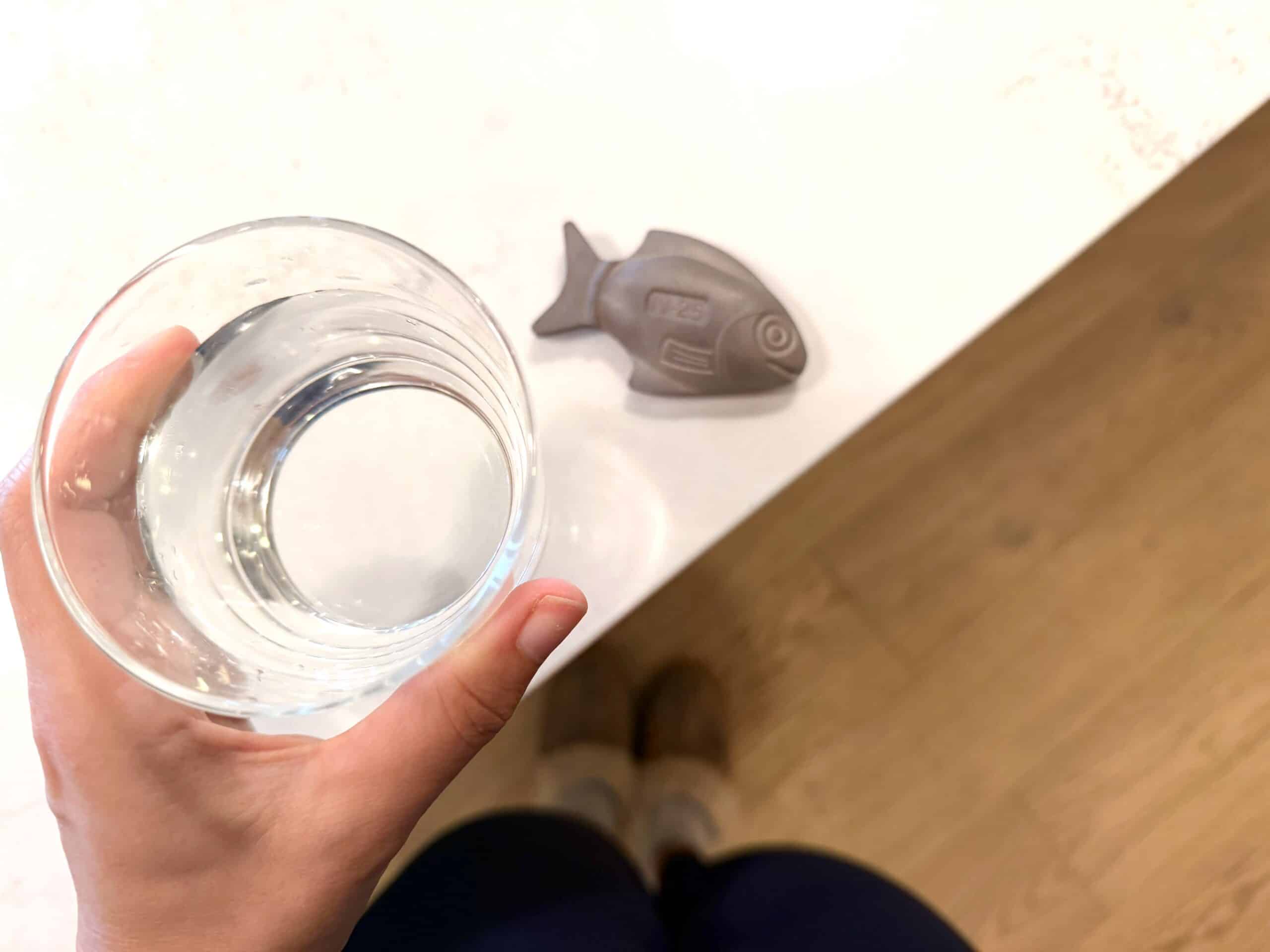 How I'm Naturally Increasing My Low Iron Levels (And Why I'm Using an Iron Fish)